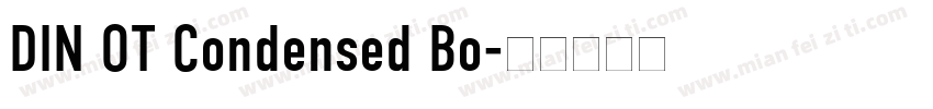 DIN OT Condensed Bo字体转换